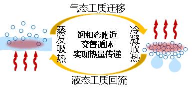 16650453483156897.jpg