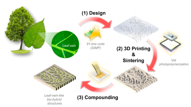 來自大自然，3D打印仿生葉脈狀鋁基板